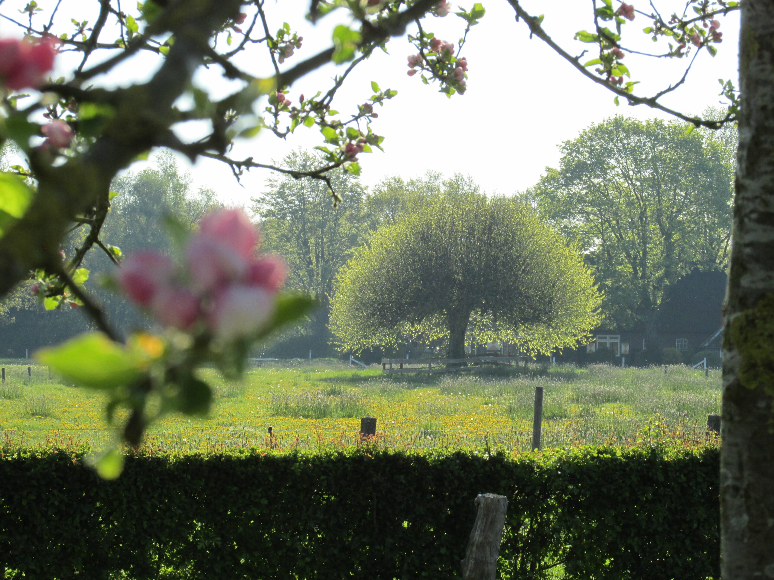 Linderte Boerderijkamers Lindeboom