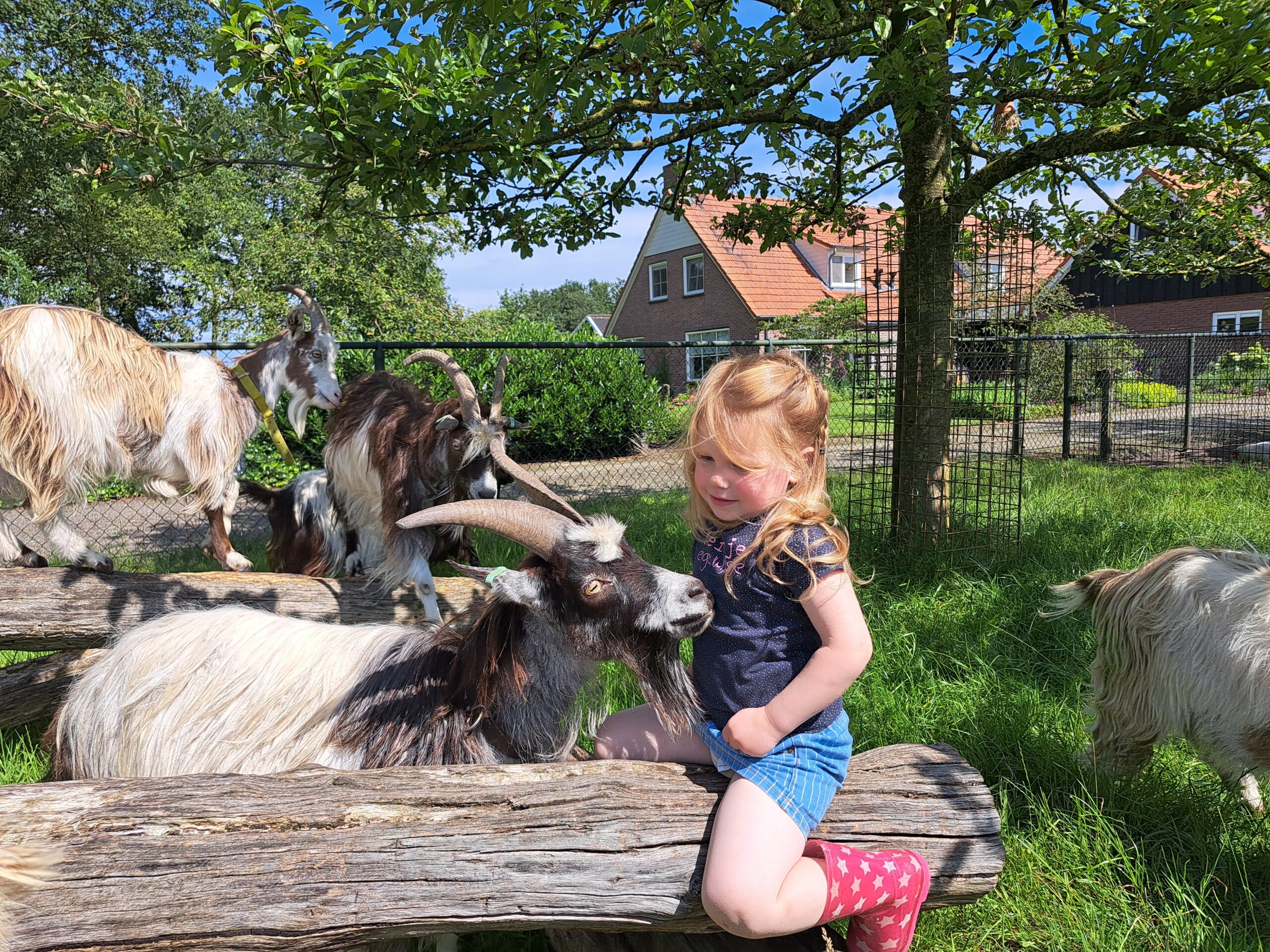 Kind met geit Linderte Boerderijkamers